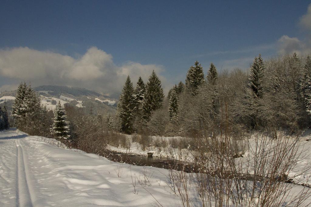 Apartmenthaus Berdnik Kotschach-Mauthen Ruang foto