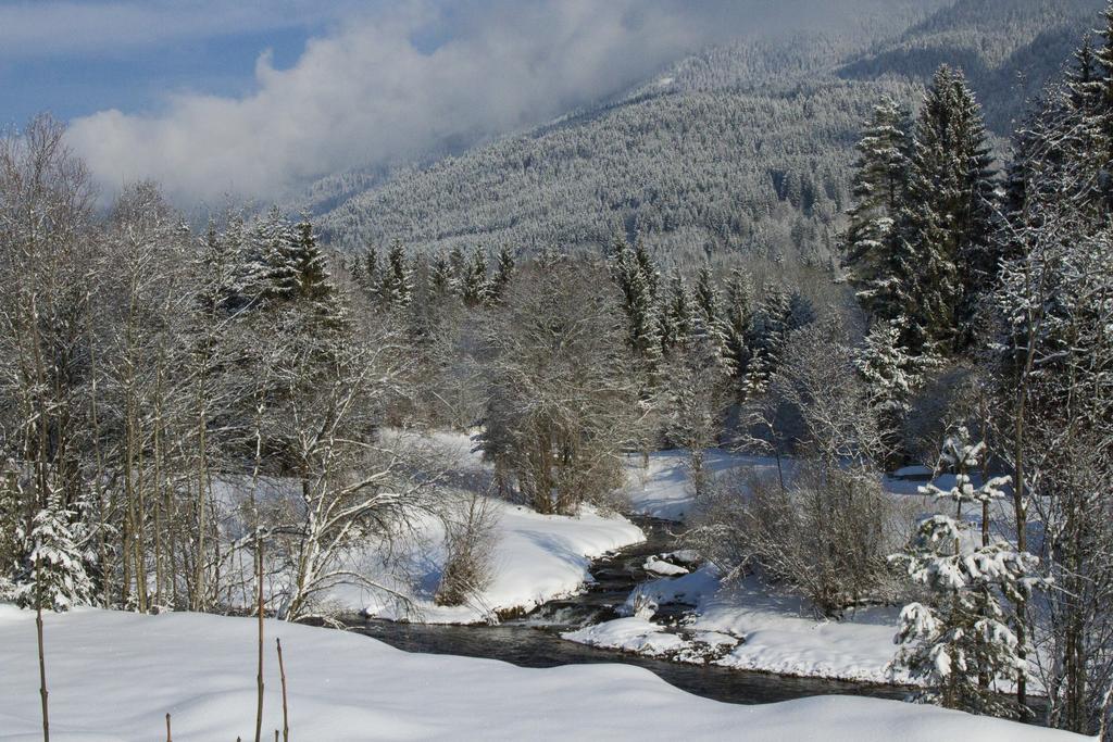 Apartmenthaus Berdnik Kotschach-Mauthen Ruang foto