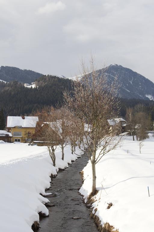 Apartmenthaus Berdnik Kotschach-Mauthen Ruang foto